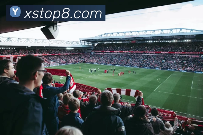 新盛娱乐官网品牌故事