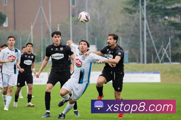 新盛娱乐官网服务体系